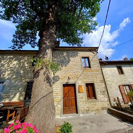Casina La Quercia Lägenhet Santa Sofia Exteriör bild