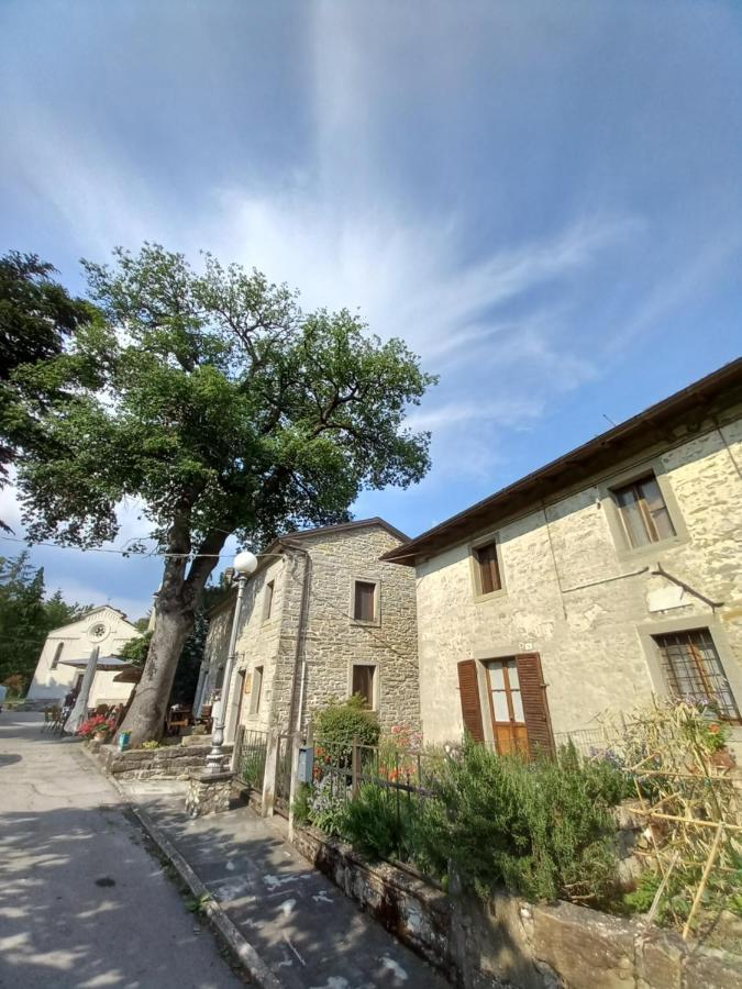 Casina La Quercia Lägenhet Santa Sofia Exteriör bild