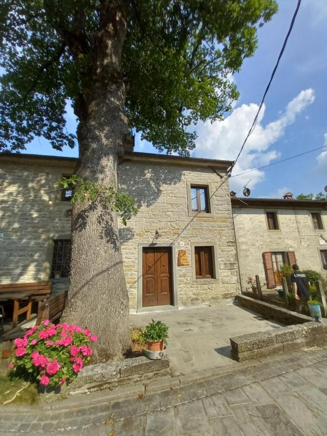 Casina La Quercia Lägenhet Santa Sofia Exteriör bild