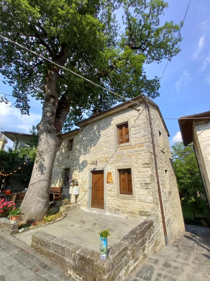 Casina La Quercia Lägenhet Santa Sofia Exteriör bild
