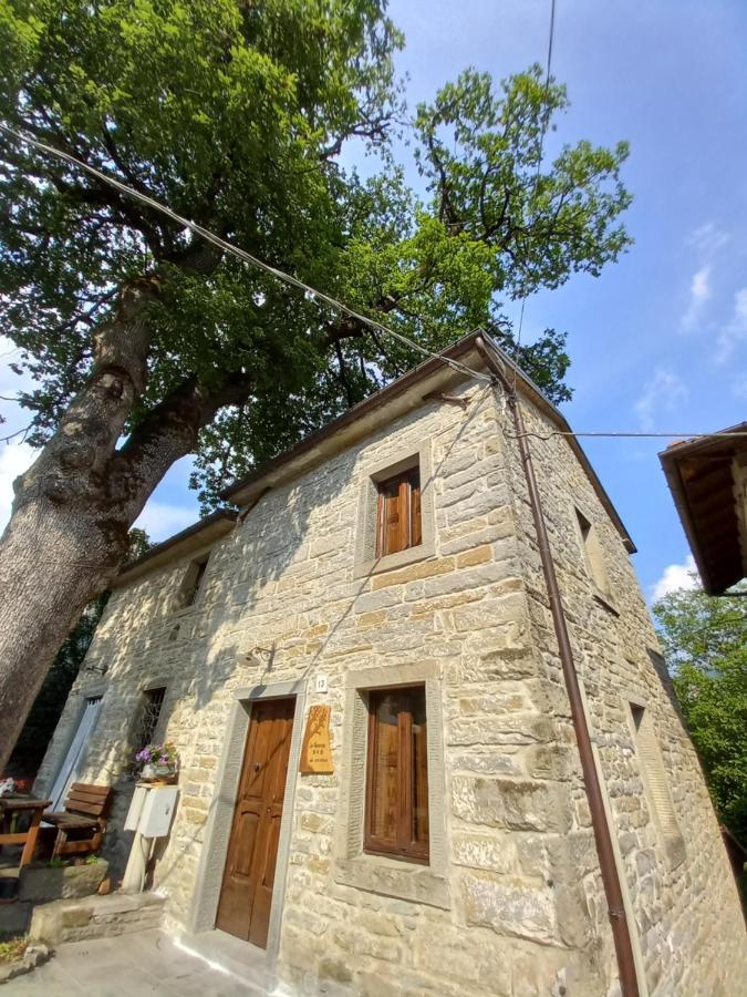 Casina La Quercia Lägenhet Santa Sofia Exteriör bild